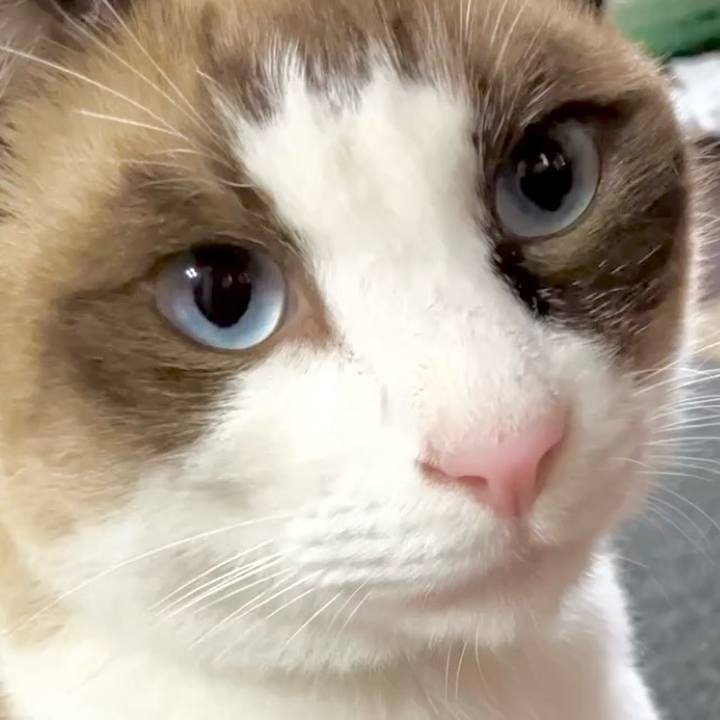 0a05ace4 e4ef 40ba 97d9 fafee01f1e6e 1729657093392