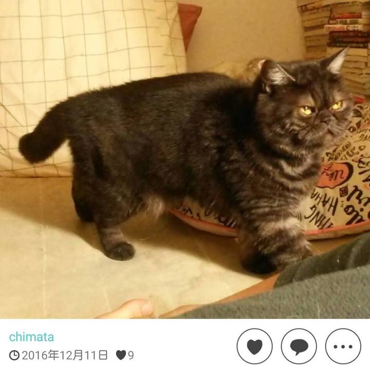 0a05c67a a781 4257 b869 8c54fedcfef1 1670763776231