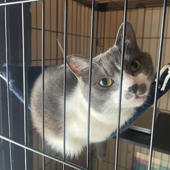 0a060622 311c 4816 a14e 411e87100602 1719115756745