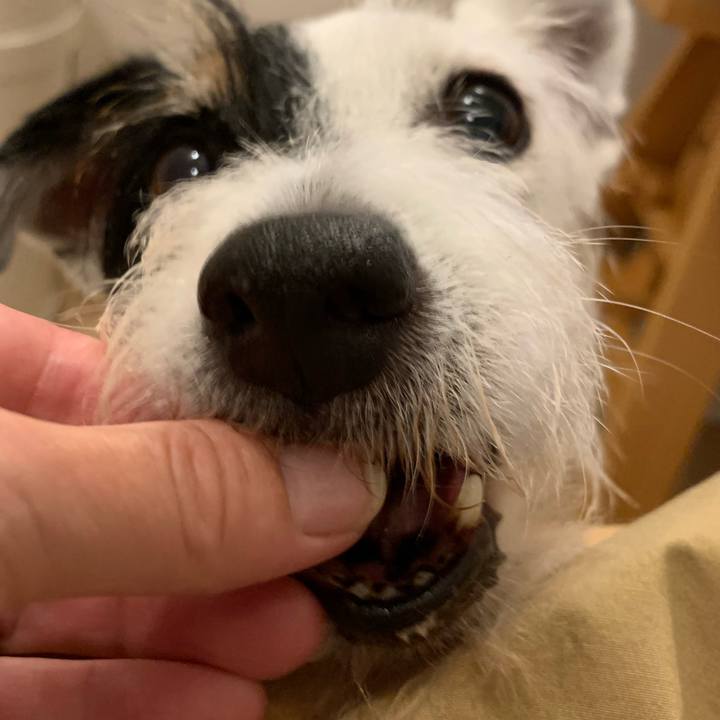 0a0610a7 607e 478a a100 b7d57e52869d 1725793088498