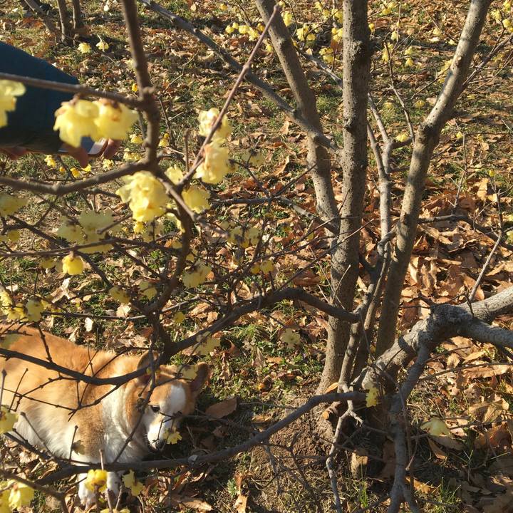 0a061888 d942 4862 8c7e 3d8469e887ae 1673565029404