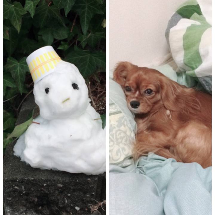 0a06598a 2d2a 4075 8030 5de7eb326e12 1517040078918