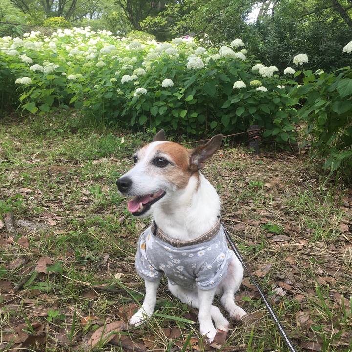 0a0659a2 3ac3 4eea 8af7 8adda1e8a6a4 1623626943171