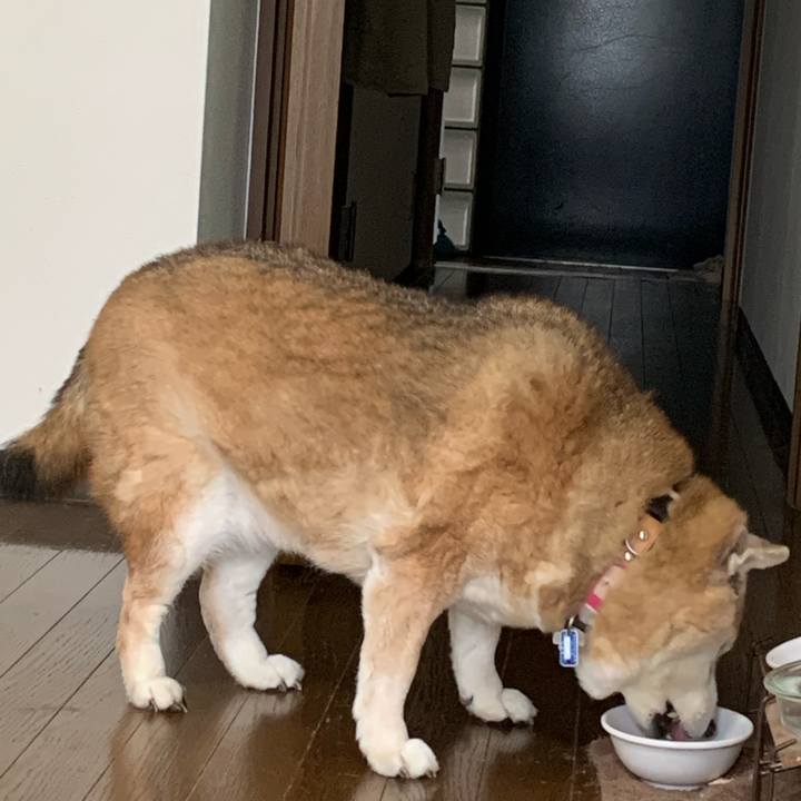 0a065a51 cfc0 400c a7ef 7bb50a1888bd 1648247399859