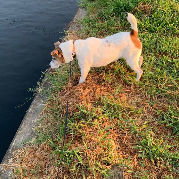 0a06a06a 49b2 45dd be29 91cd0bf45b65 1597700355248