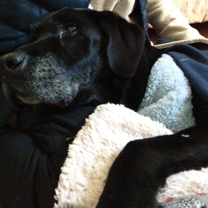 0a06b125 c086 4be0 8dac b6ddea3b65e7 1701991732899