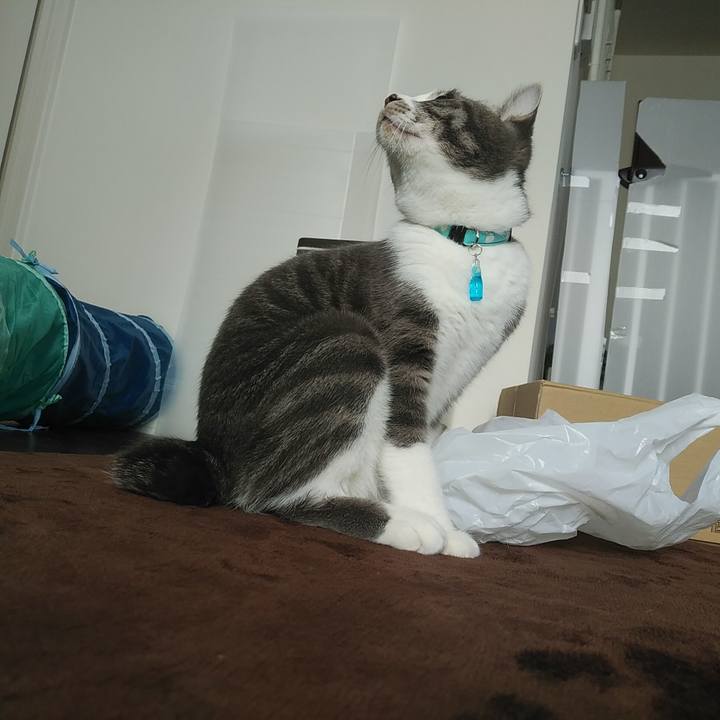 0a075cf6 1c6a 4677 8658 0b93c15cc311 1575513831172