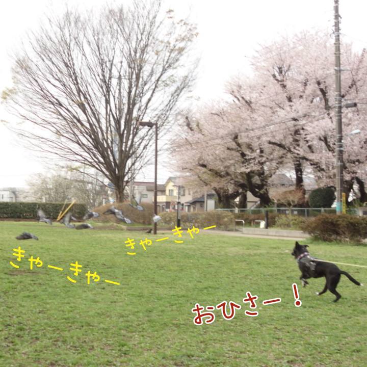 0a07796d d416 4dc7 a33c 4b0fe0b62954 1649206550202