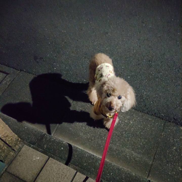 0a0793b5 aa66 4008 94f9 6785ad6a774d 1696655971859