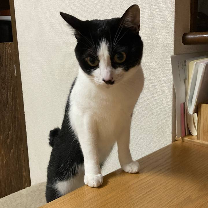 0a07982e f7d7 4387 b675 48605b1d276c 1604531489618