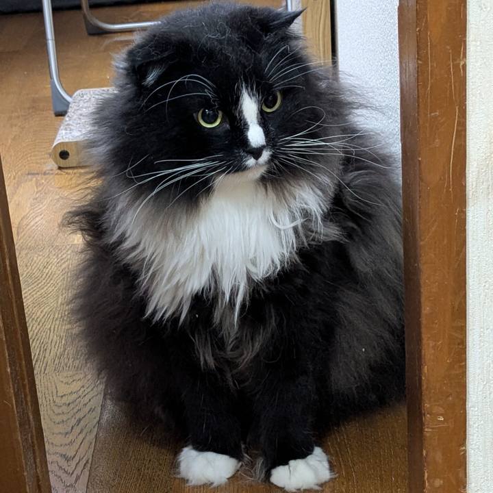 0a079ae3 15bf 46e9 96d8 406d96f36c3f 1774957918279