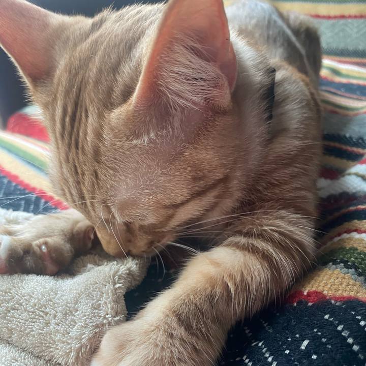 0a07fe9b 90f4 4bb7 a1a8 04b481d4db58 1604714890098