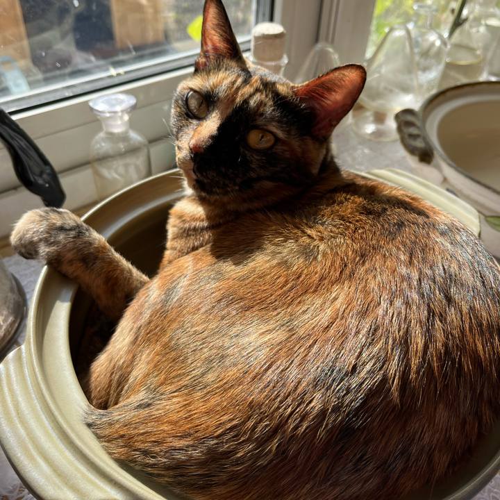 0a080118 e7eb 4177 b723 dfbeedb2bcd0 1696725662798