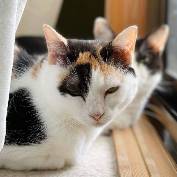 0a080849 796f 46a6 8b58 665b5f4a9683 1633570419890