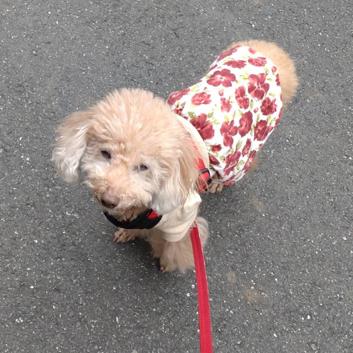 0a080936 0de3 4b13 bef5 f202039a170c 1669883425987