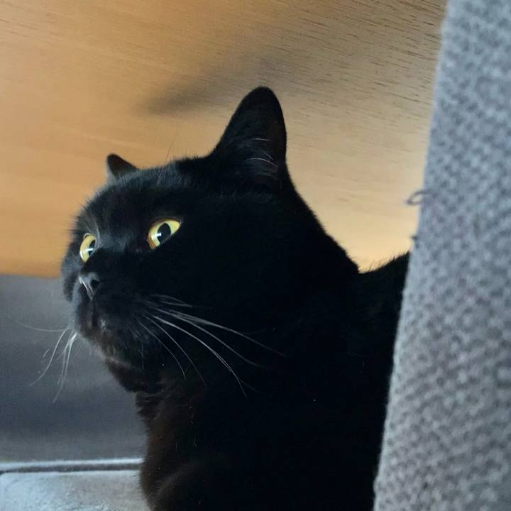 0a081064 dd43 4bd9 876d 431d541ea2e4 1617066963756