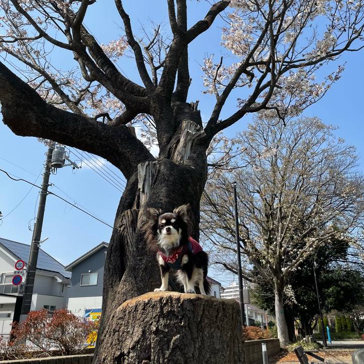 0a08111d a033 4e27 8586 e580d71a3991 1616155671392