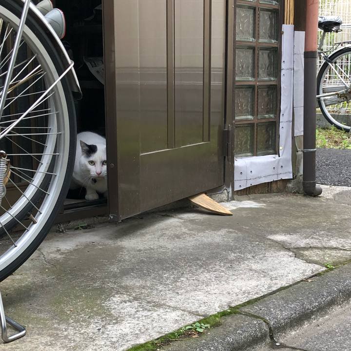 0a0831e1 154e 4820 ac11 a87b034f501e 1527777560747