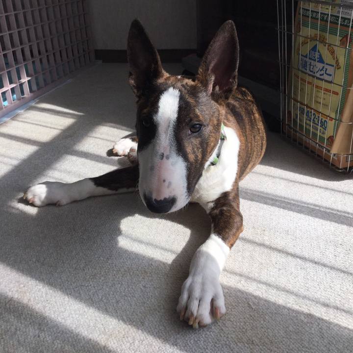 0a0848e2 d617 4dd9 a168 1d07654f9887 1555319216976