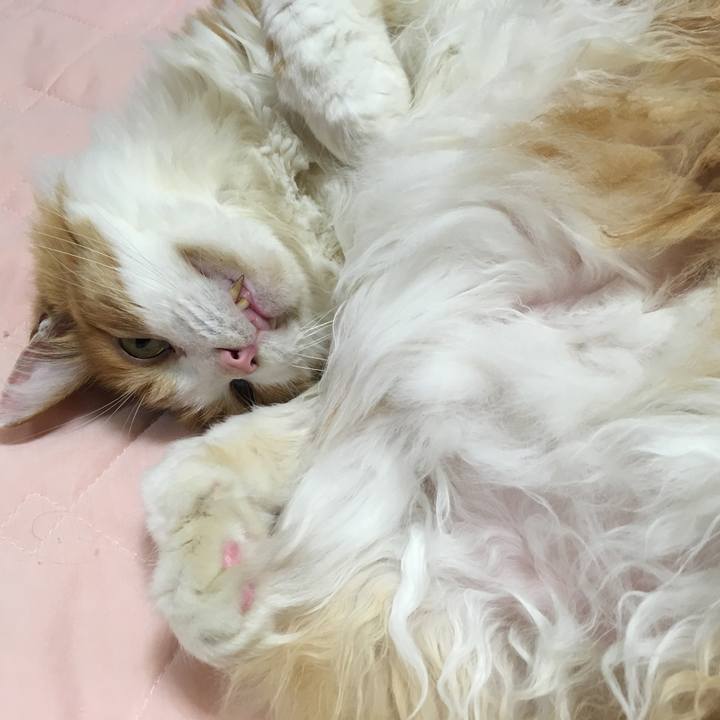 0a085b63 7016 417f adf7 91de4c92cc47 1564241514864