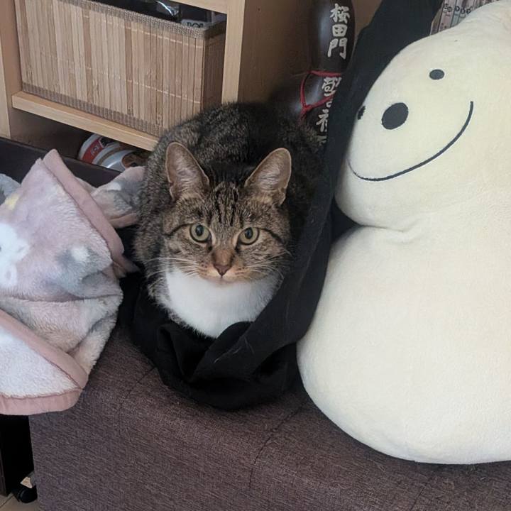 0a088fd9 2ea8 4db8 9a6f 1e62c51601df 1768814659311