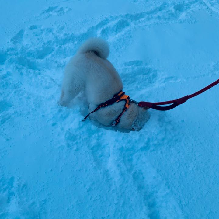 0a08a1f0 c4a9 4579 a4b0 262095d4a114 1675896438164