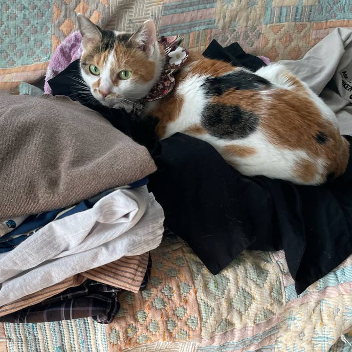 0a0903fe 8751 442f 9e1a 9c1c3b2364af 1759040846995