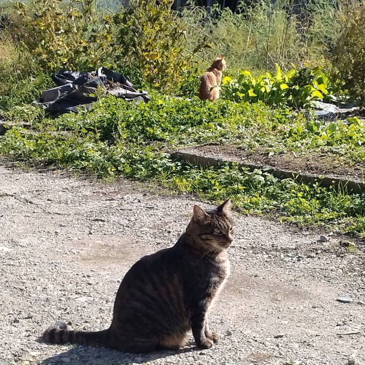 0a091c71 95c1 493c 8123 c57007c50e8f 1666842676486