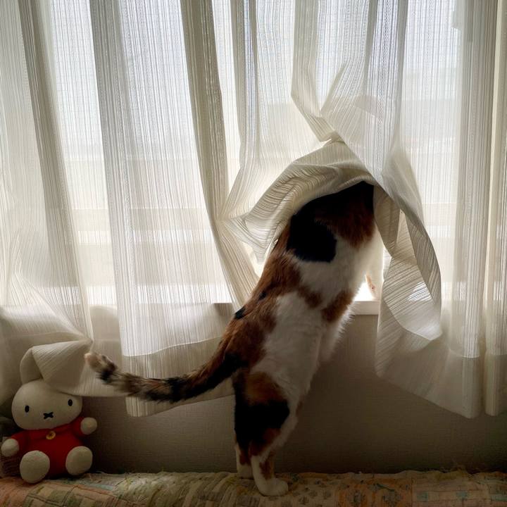 0a097330 31cb 4a2a b20a 496fab7a5315 1743118645180