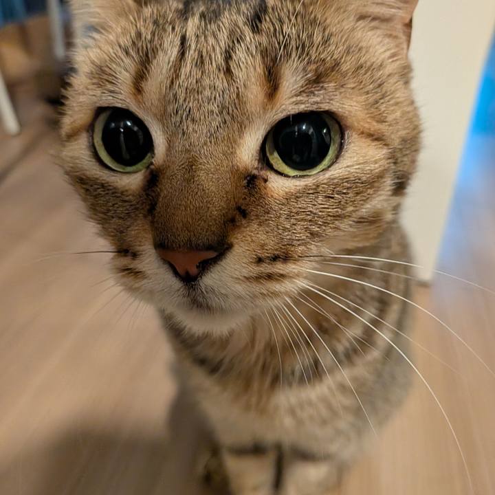 0a0984e2 8f96 4d93 9d7f 651a1898a1ce 1774218334507