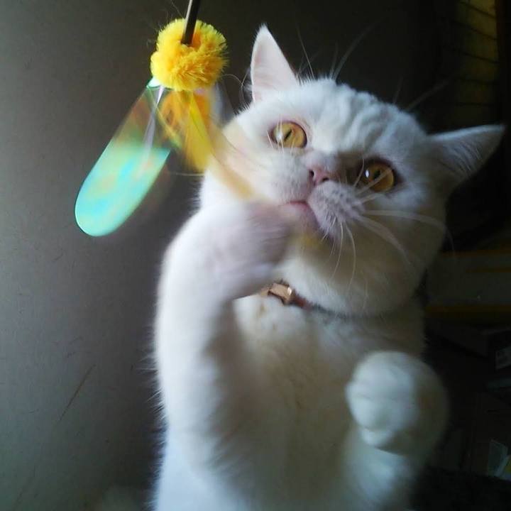 0a0988de 9b2e 4204 a8a3 64105e272aa5 1614001500998