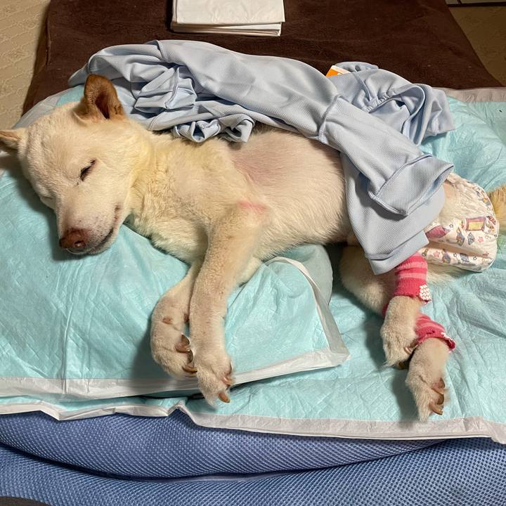 0a09af5b 7ebd 4eab abeb a34d64a1ae01 1674226475844