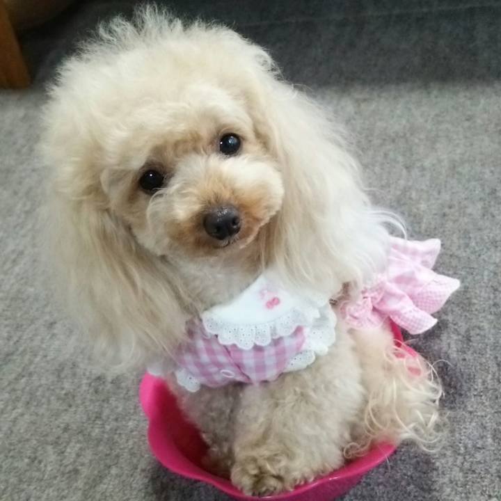 0a09c5e4 5d30 4884 ab34 d7840001333c 1529492676810