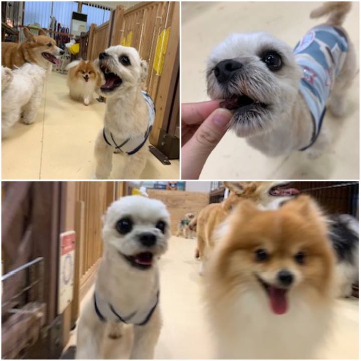 0a09c747 f650 4b24 a6ec ccb15460e238 1562842009689