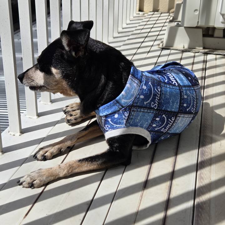 0a09f577 3d12 49ae 8ec0 513d44d5c0ba 1759890450275