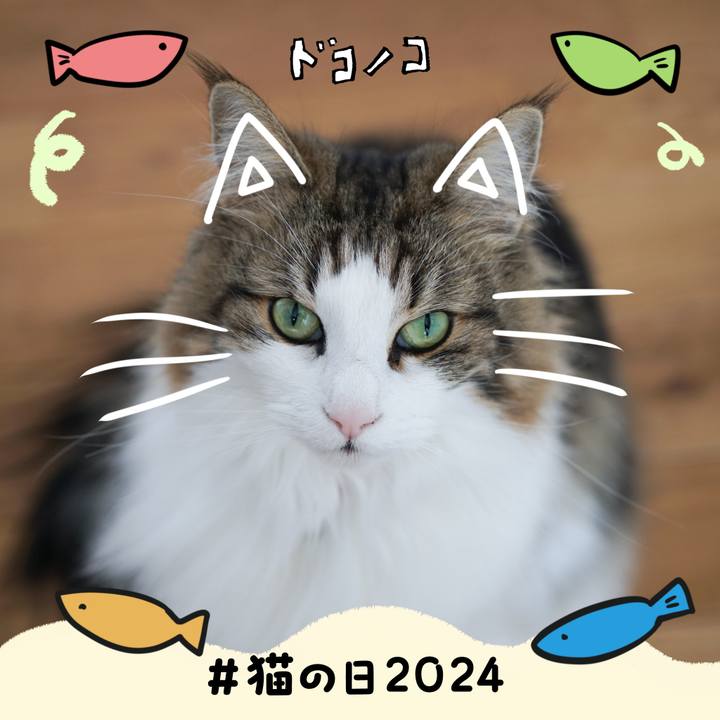 0a0a00b4 8246 4ea3 9867 1c0e24f8aa04 1708556565268