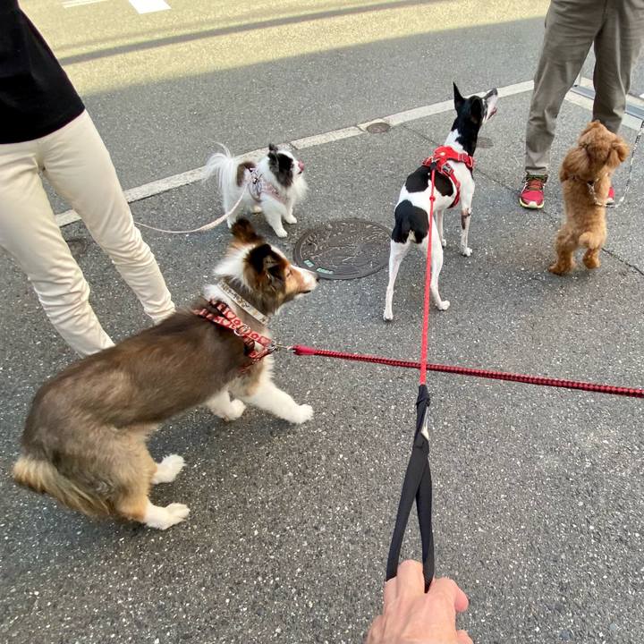 0a0a0983 d581 4e0c 91d2 6f6c27a52941 1620907456477