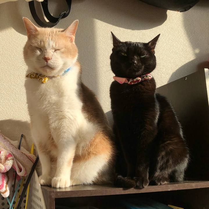 0a0a0c23 faac 4e7e 9802 d6387672876e 1572650372074