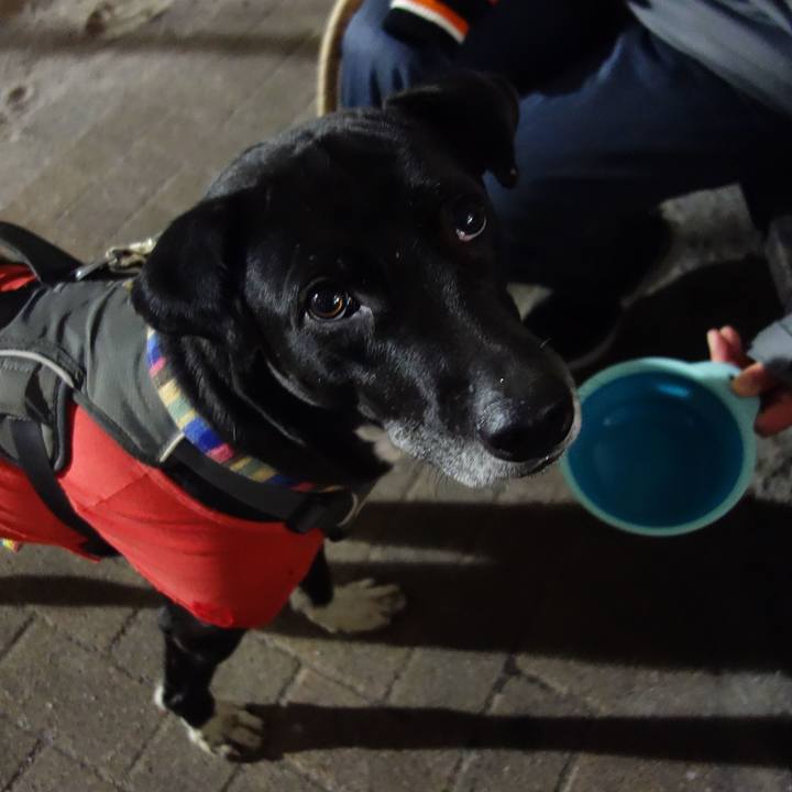 0a0a69c5 2d84 4e67 ab09 aa2167d240c6 1643281745989