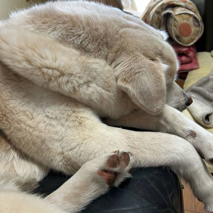 0a0aa789 d7fb 4a38 a09a 43ffe9e7d051 1738459273626