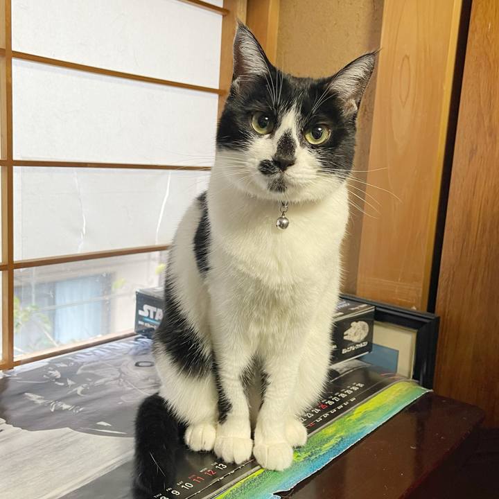 0a0ab9c6 8f17 4dfe 8b76 6e5a34790e7e 1771282438148