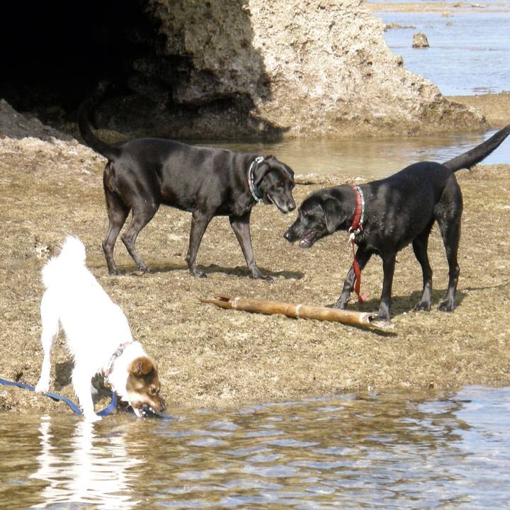 0a0abe01 c8ec 4cd9 96aa dad269643d5e 1531318935718