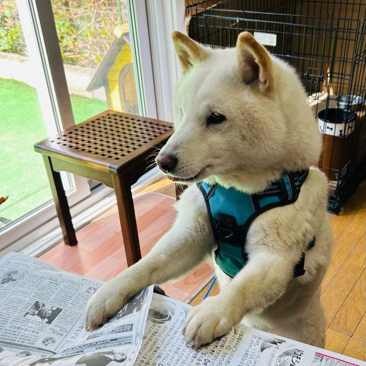 0a0ac12c d640 4005 b185 f5727cd5d17a 1682382639731