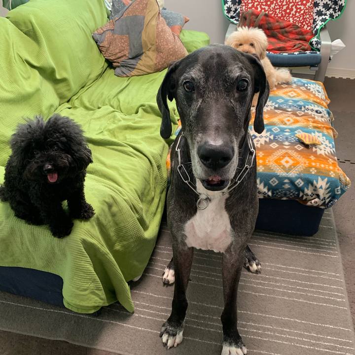 0a0ac17b 6210 4b8f 9e01 c697bd3b9c28 1570660636018