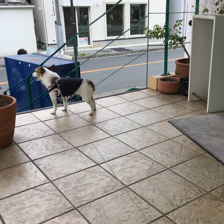 0a0ac777 e76c 41b9 a7d1 134409aa7da0 1653176330001