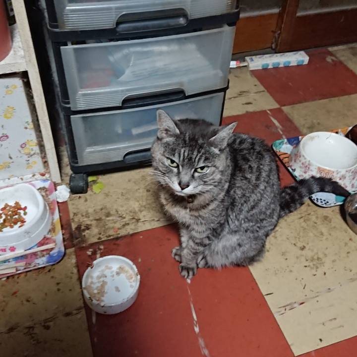 0a0b0598 f77c 4e0f 9c8a 7c7e0c3cf57a 1585338612366