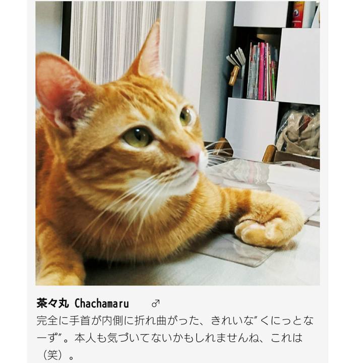 0a0b2587 d5e4 485c 90fd c625ae816afc 1553250302130