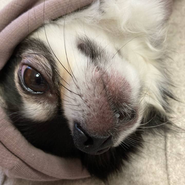 0a0b3a84 a2a3 4169 8217 40e6cbfa8f26 1676777018656