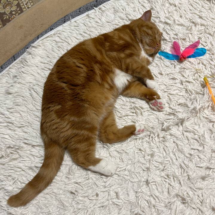 0a0b66c4 521d 4b8b 8e28 36d2b77ef72c 1688901539129