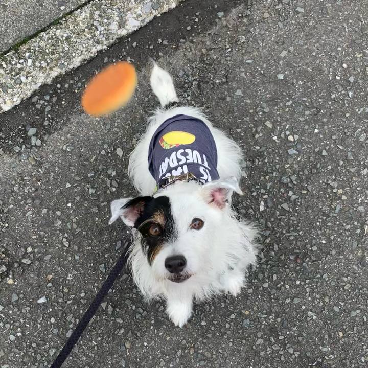 0a0ba3e9 b157 45ce adef b2af31ddded3 1663718313819